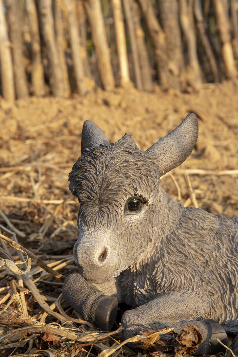 Donkey Foal Lying Down Statue HI-LINE GIFT LTD.
