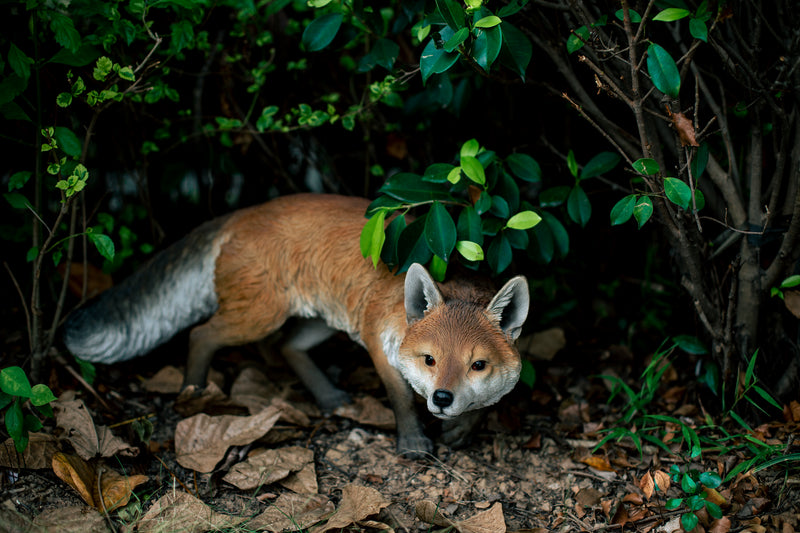 Prowling Fox Statue Hi-Line Gift Ltd.