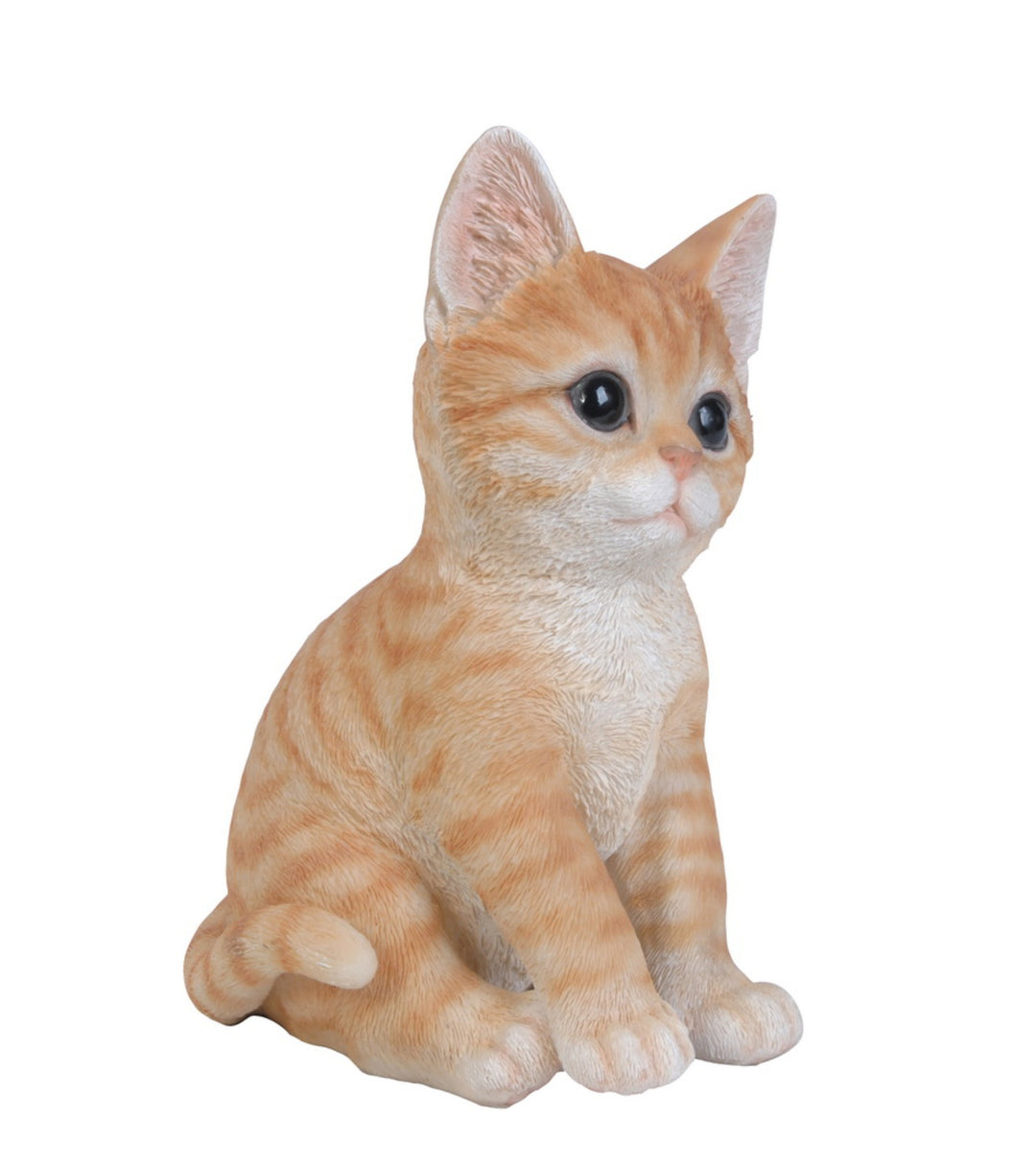 Loving Mother Cat Licking Adorable Kitten In Cozy Blanket, Feline