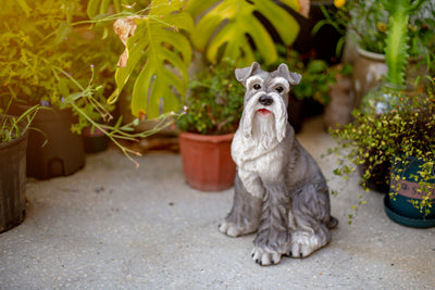 Schnauzer Sitting Statue HI-LINE GIFT LTD.