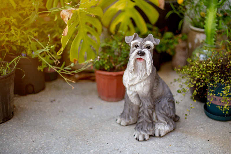 Schnauzer Sitting Statue HI-LINE GIFT LTD.
