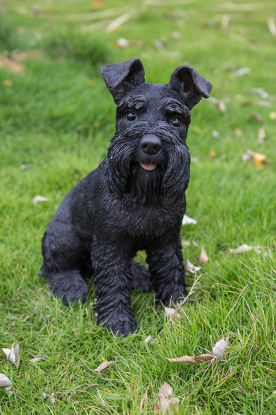 Schnauzer Statue HI-LINE GIFT LTD.