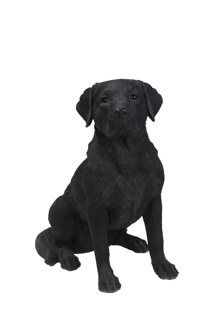 新品　 Black Labrador ラブラドール　犬　ドッグ Realistic Black Labrador Statue - 21