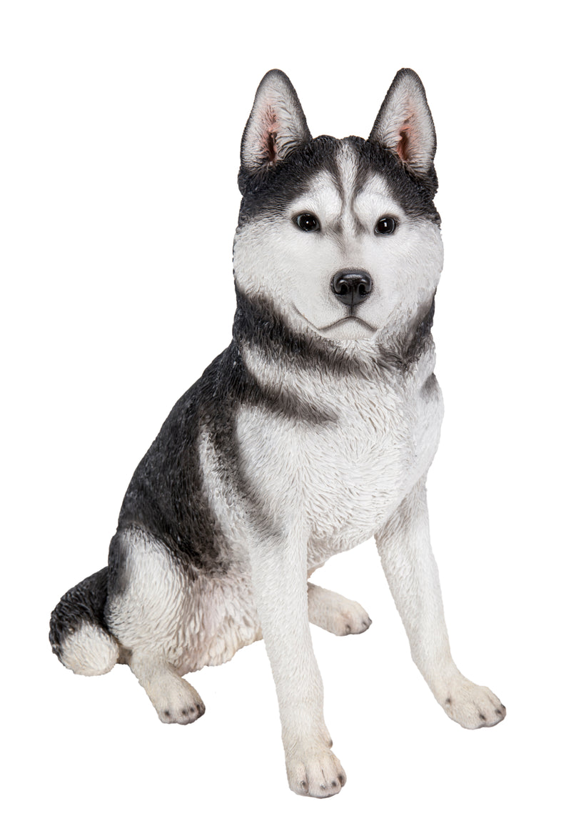 Siberian Husky Sitting Grey and White Statue HI-LINE GIFT LTD.