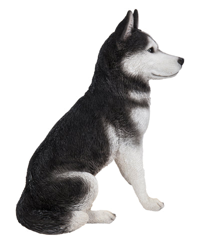 Siberian Husky Sitting Grey and White Statue HI-LINE GIFT LTD.
