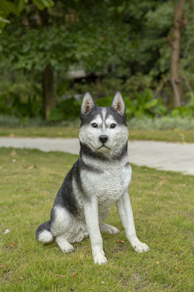 Siberian Husky Sitting Grey and White Statue HI-LINE GIFT LTD.