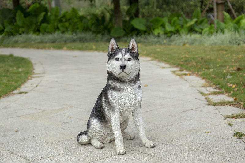 Siberian Husky Sitting Grey and White Statue HI-LINE GIFT LTD.