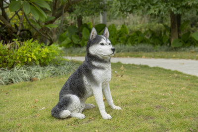 Siberian Husky Sitting Grey and White Statue HI-LINE GIFT LTD.