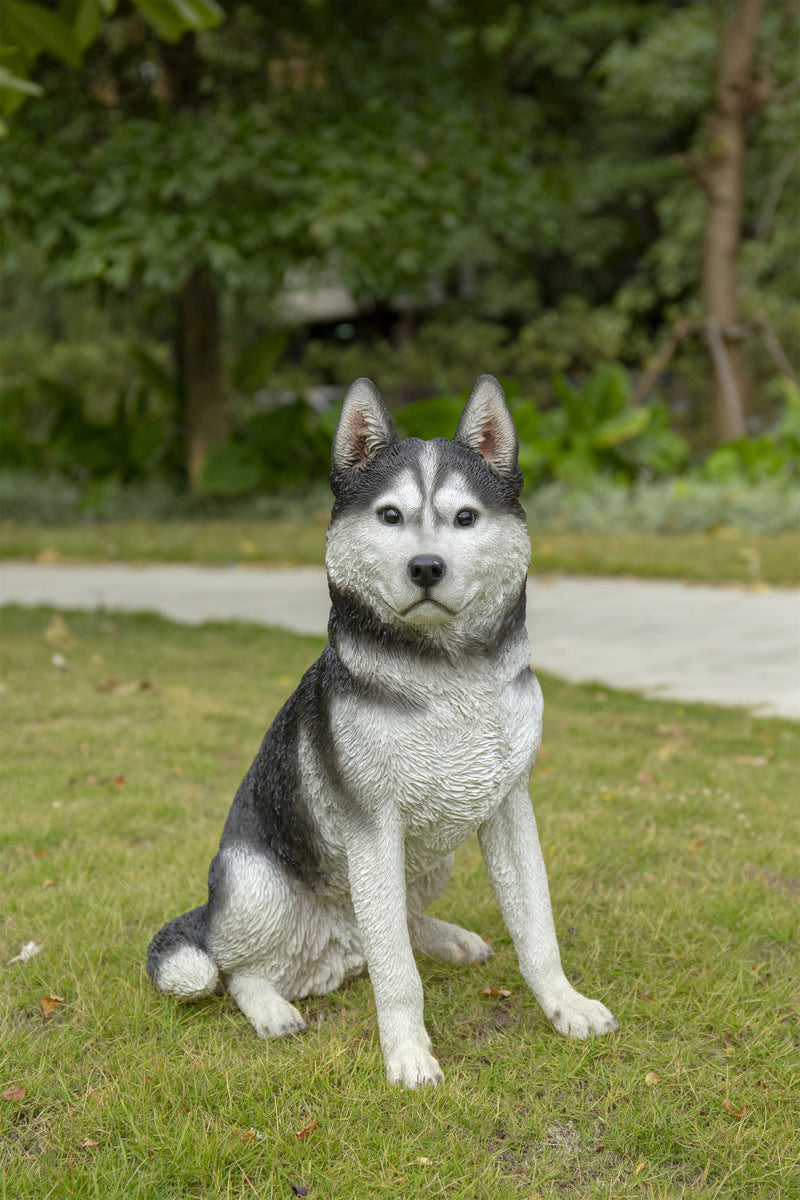 Siberian Husky Sitting Grey and White Statue HI-LINE GIFT LTD.