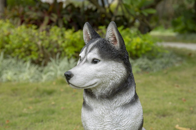 Siberian Husky Sitting Grey and White Statue HI-LINE GIFT LTD.