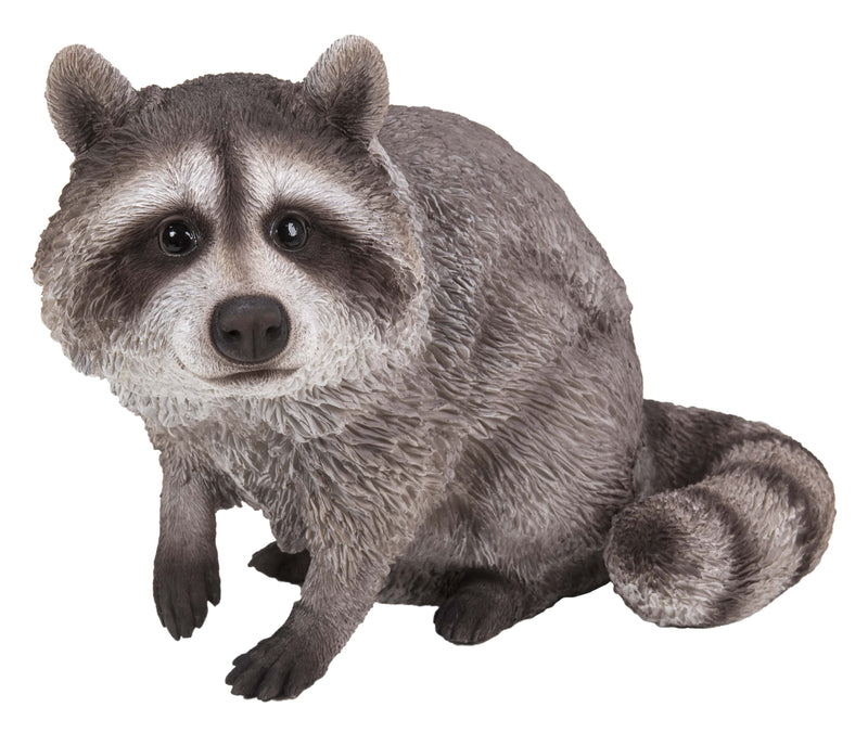 Statua Raccuja Racoon Standing Statue - Home Decor - Hi-Line Gift Ltd.