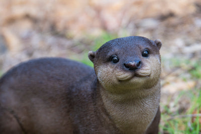 Brown Standing Otter HI-LINE GIFT LTD.