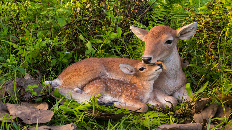 Cuddling Mother and Baby Deer Garden Statue HI-LINE GIFT LTD.