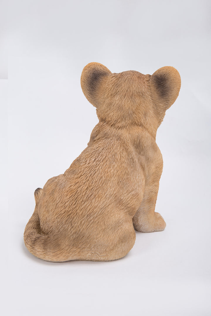 Sitting Lion Cub Statue Hi-Line Gift Ltd.