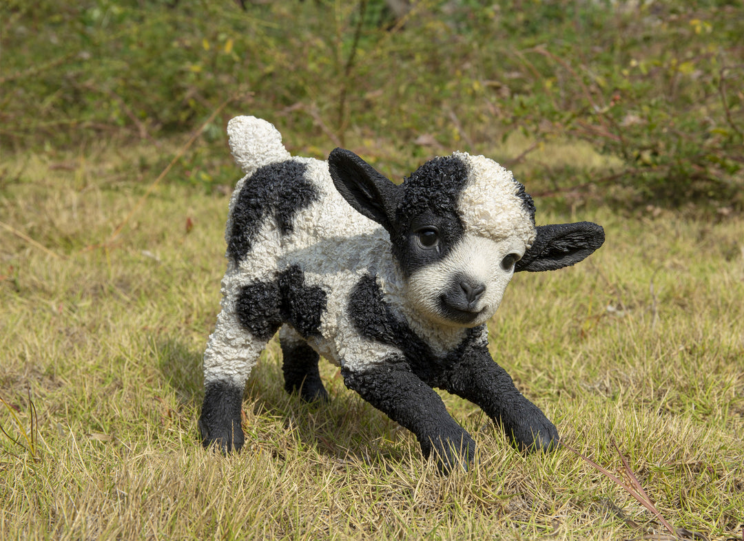Small Black & White Baby Lamb Playing Hi-Line Gift Ltd.