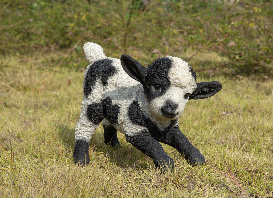 Small Black & White Baby Lamb Playing Hi-Line Gift Ltd.