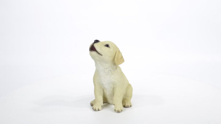 Howling Yellow Labrador Puppy