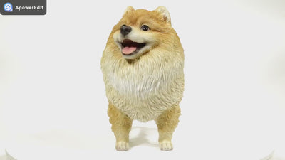 Pomerania Standing Statue