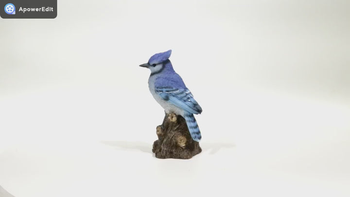 Motion Activated Singing Blue Jay Statue