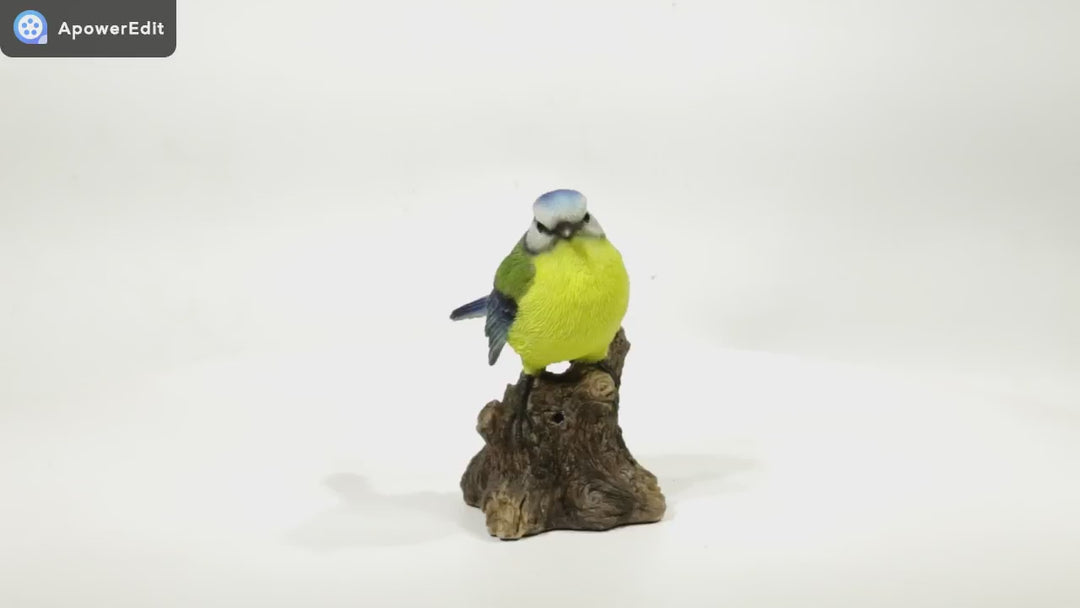 Singing Bird Blue - Motion Activated