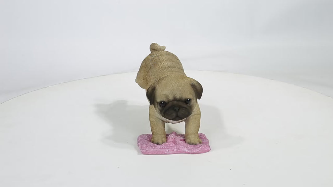 Pug Mopping The Floor