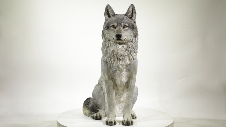 Hi-Line Exclusive - Sitting Grey Wolf Statue