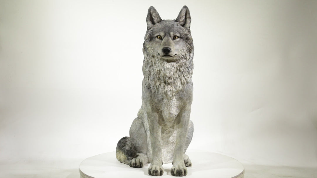Hi-Line Exclusive - Sitting Grey Wolf Statue (Available in May