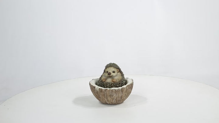 Coconut Hedgehog