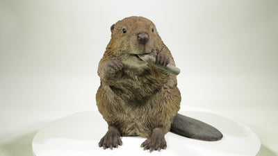 American Beaver Statue
