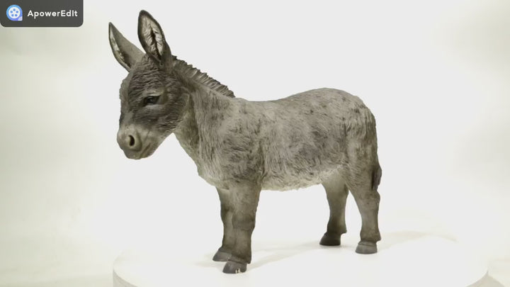 Donkey Standing Statue