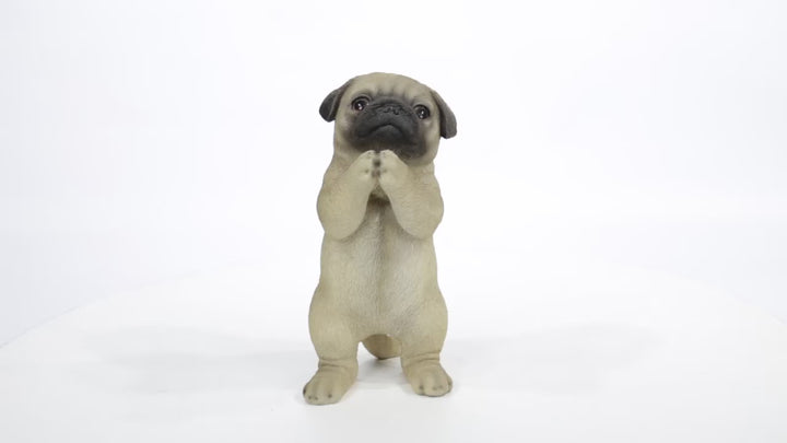 Praying Pug Puppy Statue