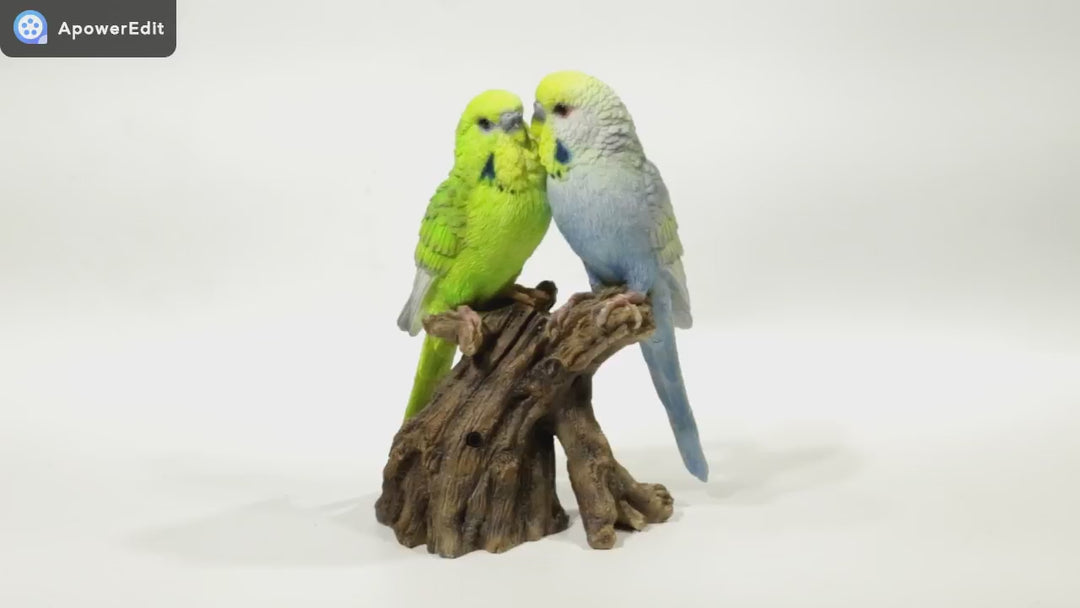 Motion Activated Singing Couple Budgerigar Statue