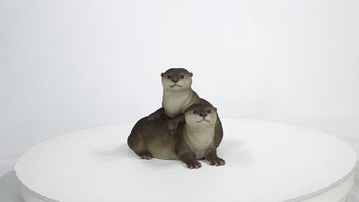 Playful Otters