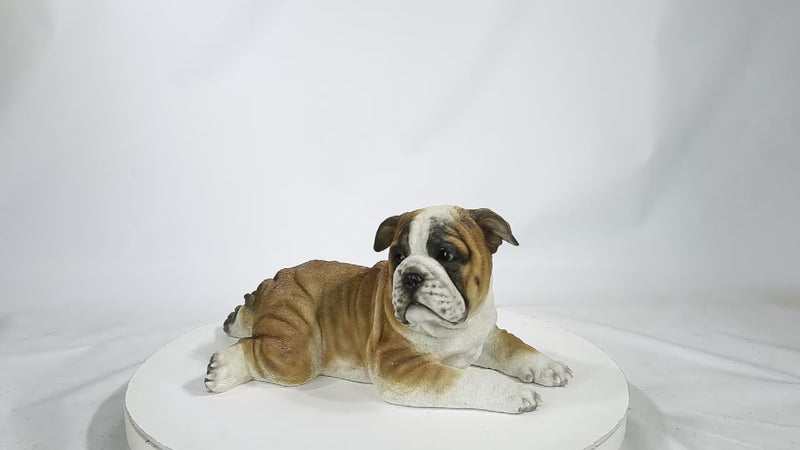 Lying Bulldog Pup