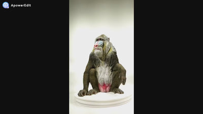 Large Sitting Mandrill