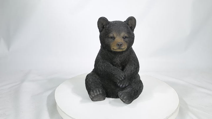 Sitting Black Bear Cub