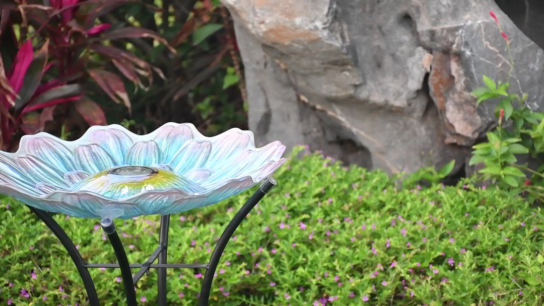Solar Glass Bird Bath With Stand