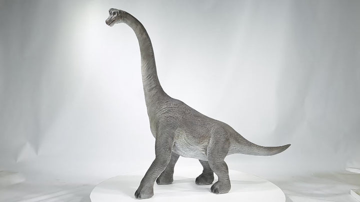 Dinosaur-Brachiosaurus