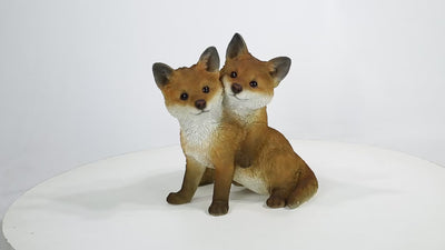 Fox Pups Hugging