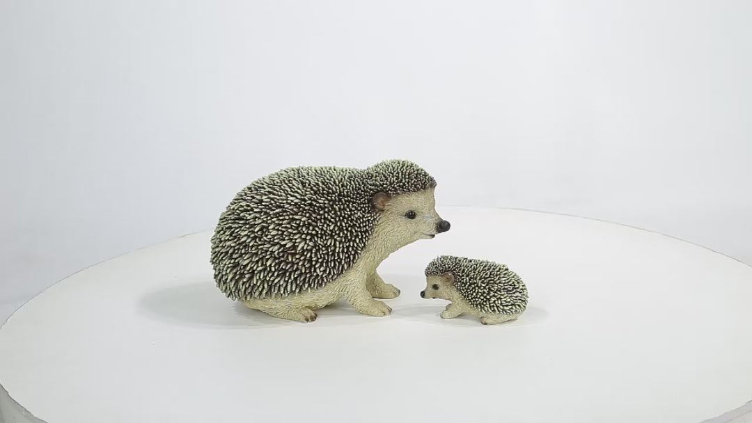 Mother & Baby Hedgehogs