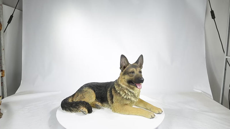Lying German Shepherd