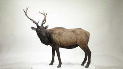 North American Elk Statue