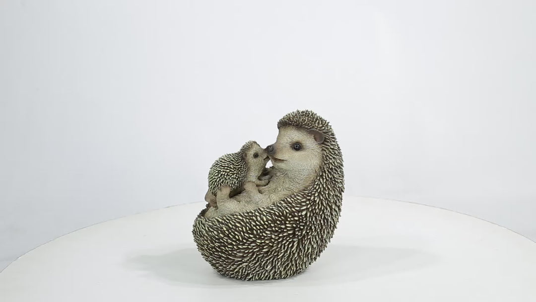 Mother & Baby Hedgehogs On Back
